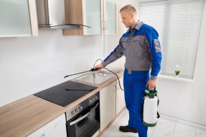 Pest control services in Montgomery, IL